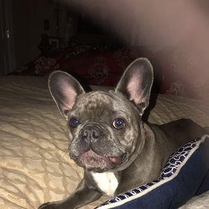 Meet your Posher, Sandra